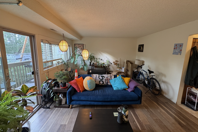 Living area. The furniture will be removed before you move it! I will replace it with my own, but we can coordinate if you have stuff. - Roommate needed for apartment close to campus!