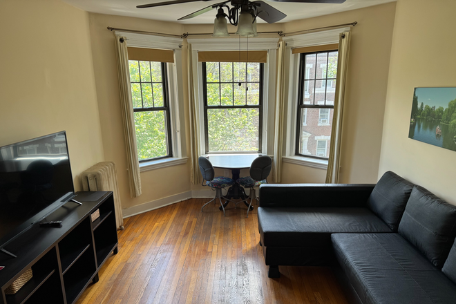 Living Room Photo 1 - Sunny Furnished One-Bedroom Apartment