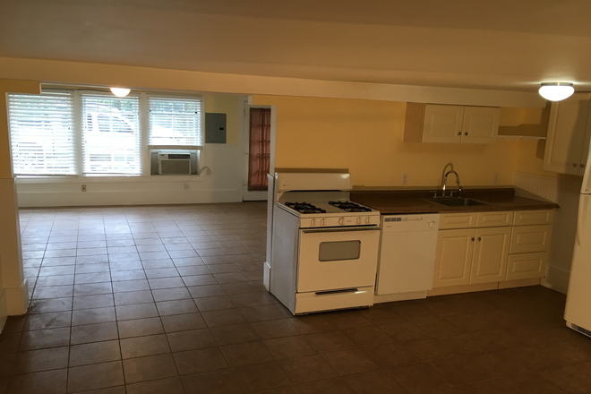 large main room - Walk to class! Apartments