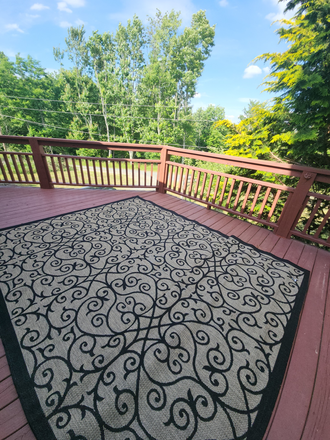 View from the back deck - 5/3.5 BR house, large fenced yard, 2 miles from campus