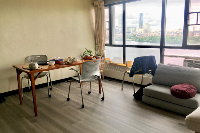 Living room - South-facing 1 bedroom apartment with a view of the Boston skyline over the Charles River