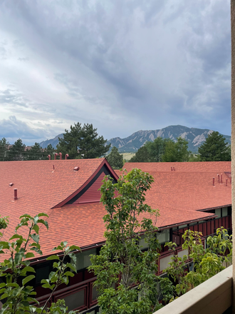 Balcony View - The Lotus Apartments