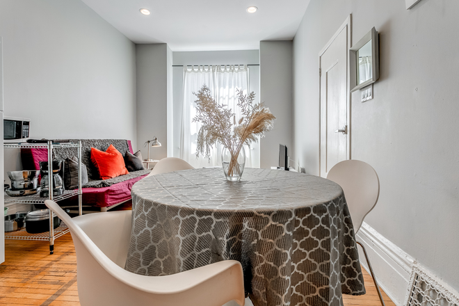 Living room kitchen - Fully Furnished 1 Bedroom In Family Friendly Little Italy Walking Distance to UofT Duplex