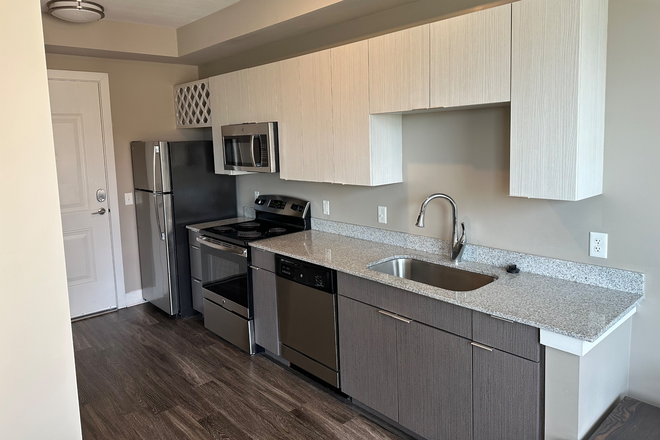 Kitchen - The Standard Apartments