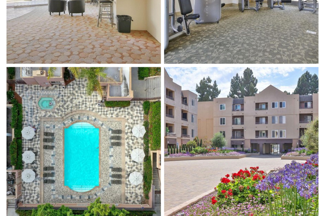 Amenities, including on-site meeting room, gym, pool, and courtyard - Villa Vicenza Condo Unit, Close to Campus