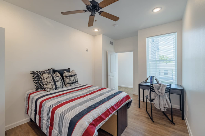 Bedroom - Nest on Dryden in TMC, right across campus (1 or 2 bedrooms available!)