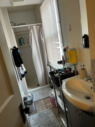 Bathroom downstairs - Sublease available! Near east side dorms!! Apartments