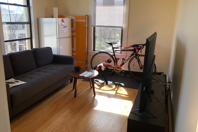 Living Room - 1BR Apartment in Kirkland Court (Harvard University Housing)
