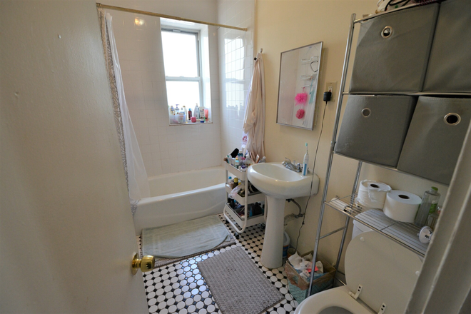 b - 3 bed - Living room - $4710 - Peterborough St - Close to campus - H&HW included Apartments