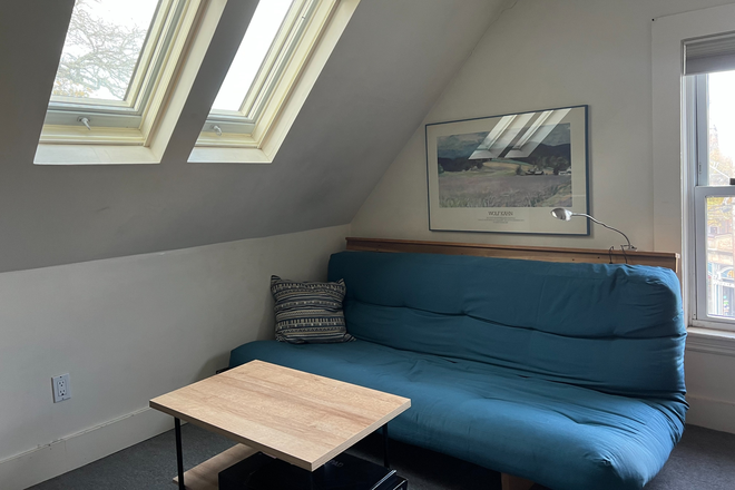 Living room with queen bed futon sofa - 2 Room Furnished Apartment near Porter and Davis!