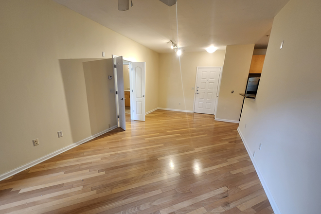 living room to entry - Large 1 Bedroom Nest to Freedom Park Trail! Condo