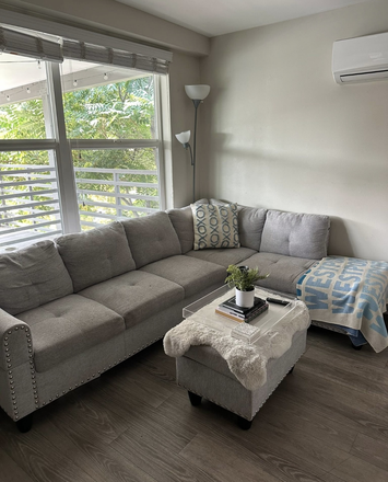 Living room - House on hill, close to campus and renovated!