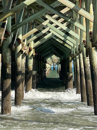 Folly Beach Pier - 20 minutes away - Rivers Bend Condos / 10 minutes to campus