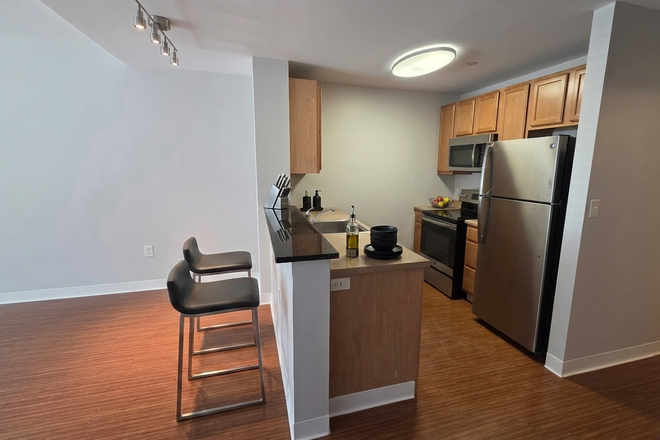 Kitchen with High top counter - Luxury 2 Bed 2 Bath with tons of storage Next To Campus!  Have your own space! Apartments
