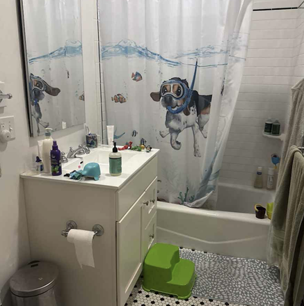 bathroom - 4 Bedroom, amazing location, awesome landlord Apartments