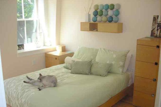 a - Private roof deck, laundry in unit, no fee! Apartments