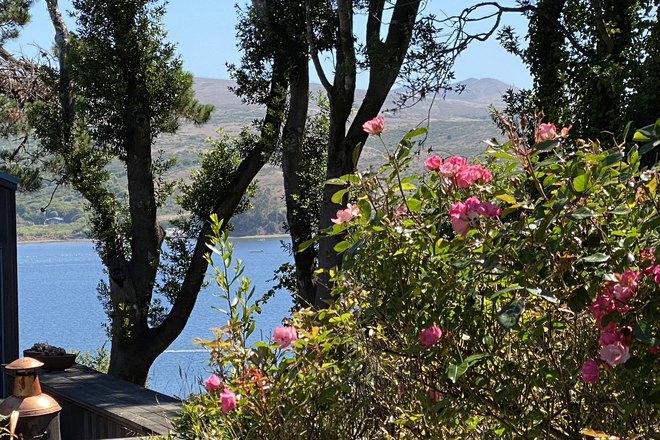 garden views with glimpse of the Bay - Writers retreat - Walk to Tomales Bay-