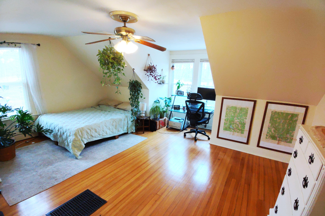 Bedroom - Beautiful Room 5 mi. From UCONN, Private Bathroom, Housemate Rarely Home