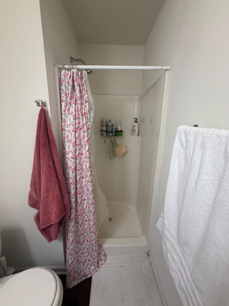 Shower - Lark West Lafayette townhomes