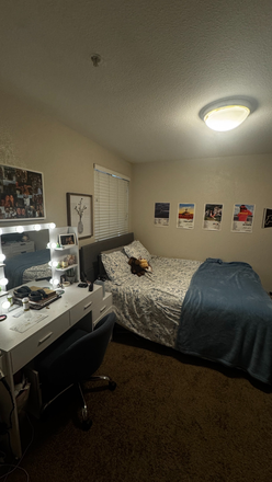 Cozy bedroom, bed and desk/vanity included! So many drawers for miscellaneos stuff! - East Village Flats