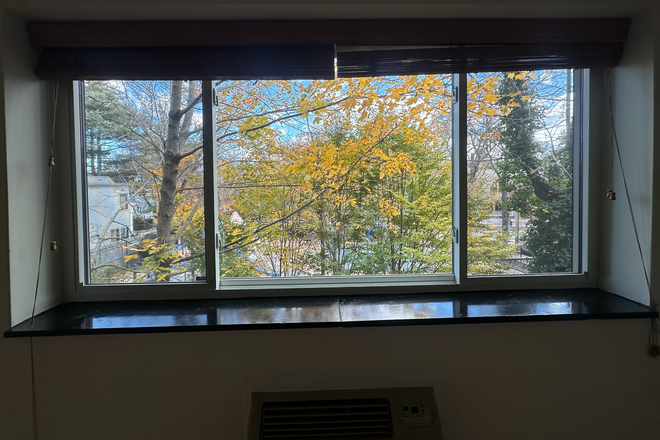 Picture window looking out over a park - Treetop Two-Bedroom Near Harvard & Central Condo