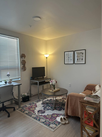 Living Room - GREAT VALUE Fieldstone Graduate Studio Summer Sublet (June-July 2026)