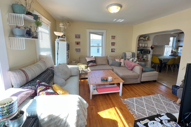 living room - Bright & Sunny 3 Bed / 1 Bath with private porch! Available 9/1/26!! Apartments