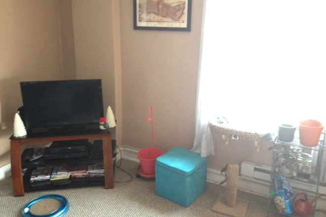 Living Room - Large 1 bedroom second floor apartment can accomidate 2