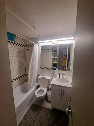 shower - 1 Bedroom apartment on the charles river for sublet during the summer