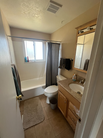 Shared bathroom - Spring Semester Sublease, Quiet House