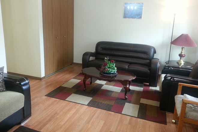Living room - Fully furnished utilities included 2-bedroom within a mile of both UIC East and West Campuses