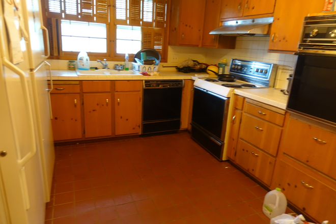 Kitchen - One Roomate Needed House