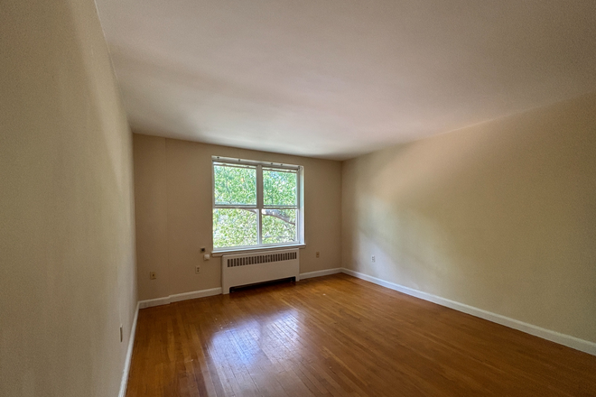living room - Sunny top floor Brookline 1 bed - NO FEE! Apartments
