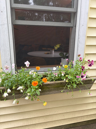 Porch window - South End Apartment