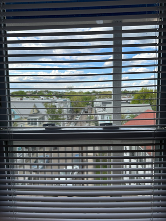 view out one window (blinds are fully functional) - 1 Bedroom in a 4b2b, 15 minute walk to MIT and Harvard Apartments