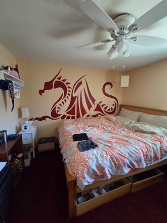 King bed - Private bedroom, private bathroom.  Rented space is 222 sq ft!  Easy access to Either Campus! Condo
