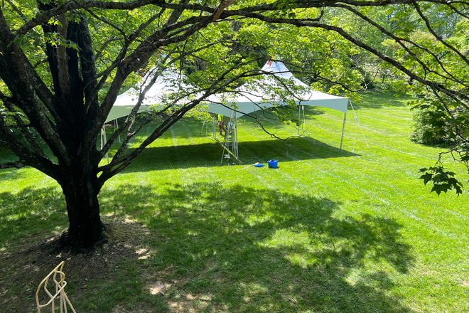 Backyard - 5 Bedroom House Close to Campus