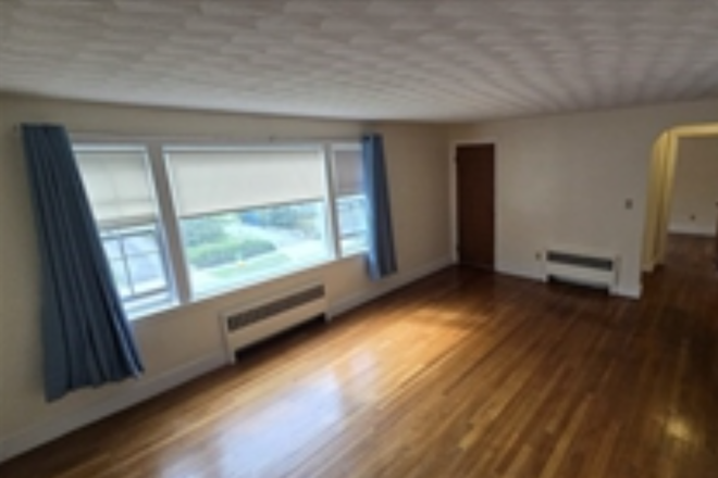 living room - Amazing 3 Bed / 1 Bath w/ Parking! Next to Harvard Sq Bus Stop! Available NOW!! Apartments