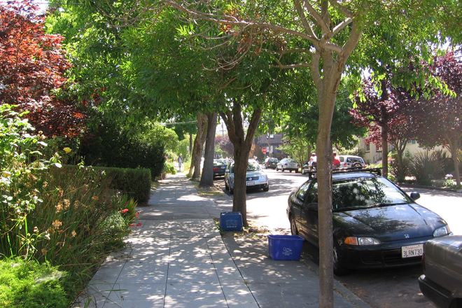 Out Front - Sunny 2-bedroom condo in Elmwood (Berkeley)