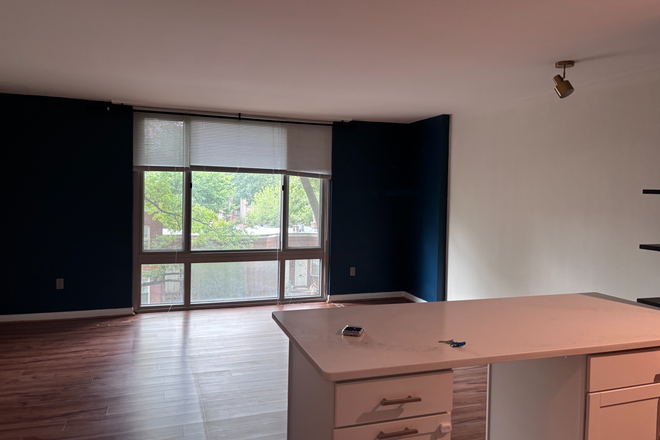 Living room - 1 Bedroom in the Heart of Foggy Bottom! Apartments