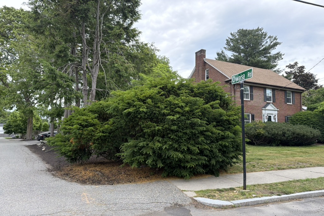 Outside landscaping - One Bedrooom with office, street lower level apartment