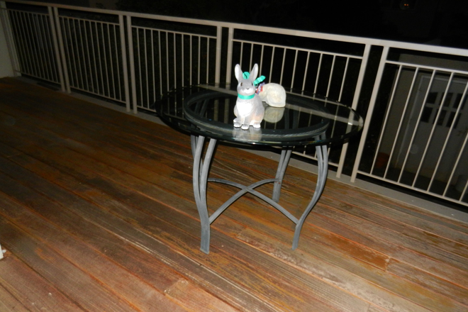 Deck - Elmwood District House