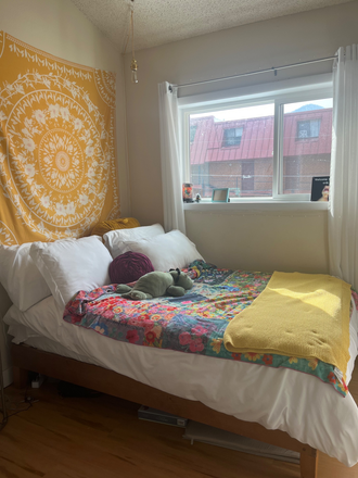 Bedroom - Apartments Unit ON the hill! Super close to businesses and campus!