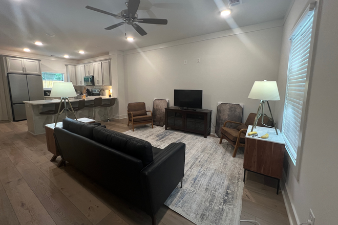 Living Room - Larger TV Coming - BRAND NEW TOWNHOUSE - FULLY FURNISHED!! ON TIGER TRANSIT / NEXT TO VET SCHOOL- JULY FREE!