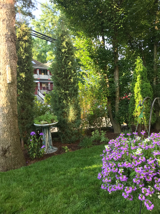 house garden - Cambridge-Huron village,Harvard university Apartments