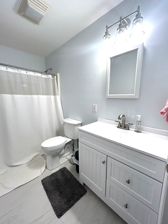 Bathroom - Looking for a roommate (female) in a renovated 3-bedroom, 2-bathroom house (No broker fee)