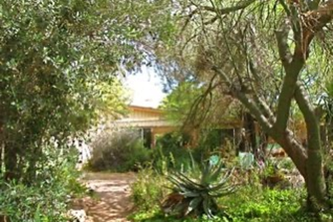 Backyard forest - Limberlost Garden Casita