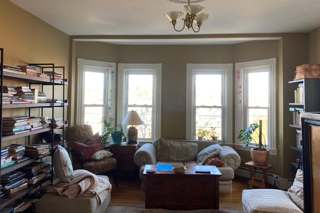 Livingroom - Sunny Room in Apt. right off T (Orange Line Stony Brook Station) and Park