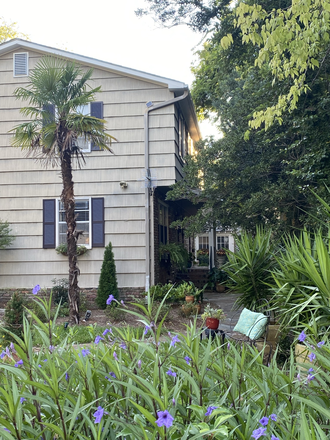 View from street - Lovely townhouse and yard, off street parking,  fully furnished, *WALK TO CAMPUS