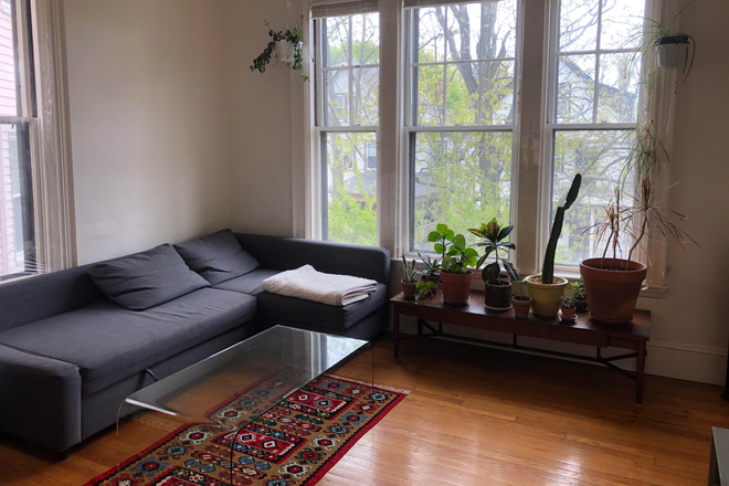Living Room (shared) - Spacious, sunny room in a 2-bedroom Union Square home